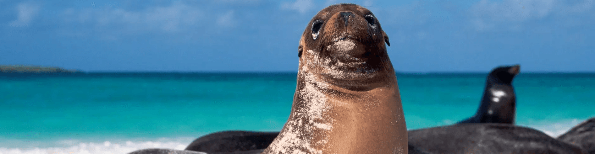 9 Fascinating Facts on The Galapagos Islands