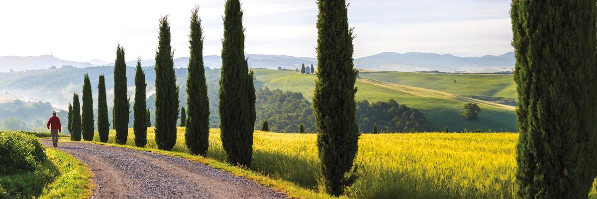 Backroads' Active Culinary Tours